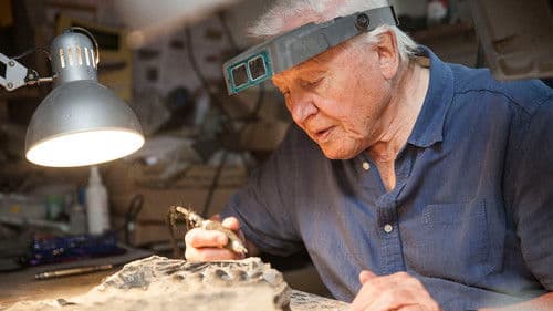 Attenborough and the Sea Dragon Bild 2