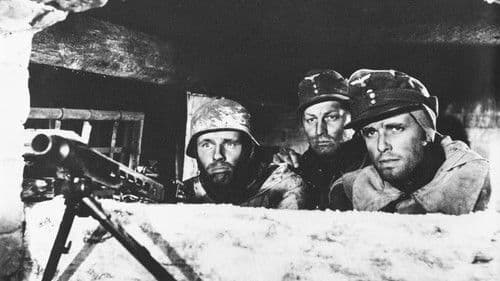 Hunde, wollt ihr ewig leben Bild 4