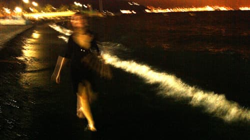 WhimSeaCall - Nocturnal Sea Bild 2