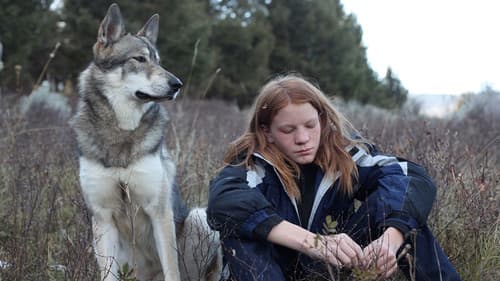 I Am Like You Bild 1