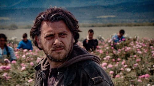 Дамасцена Bild 1