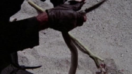 Víbora caliente Bild 1