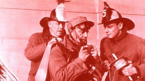 Suicide Squad Bild 1