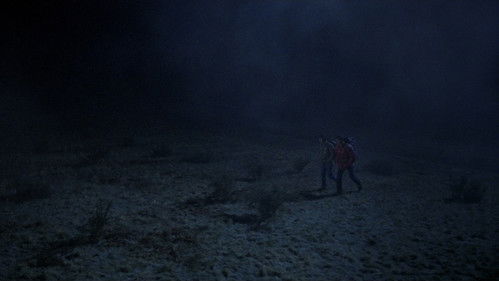 American Werewolf Bild 6