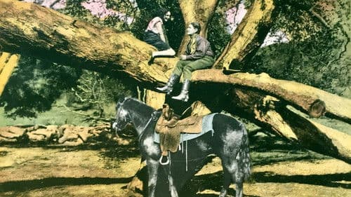 The Wild Girl Bild 1