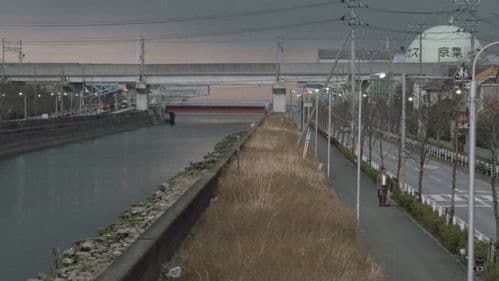 痴漢電車人妻篇　奥様は痴女 Bild 2