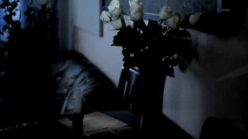 Үл таних эмэгтэй Bild 7