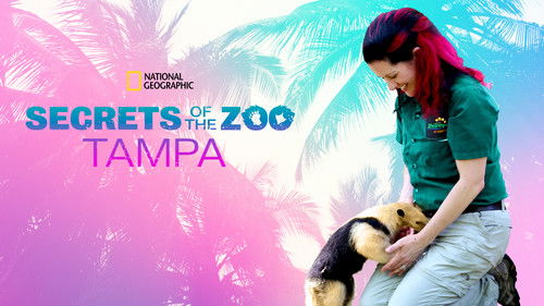 Zoogeflüster: Tampa Bild 2