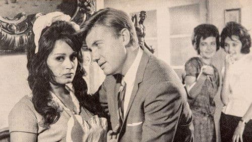 Ne Şeker Şey Bild 4