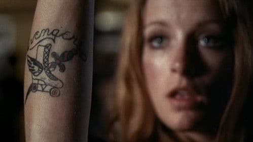 Roller-Fieber Bild 5