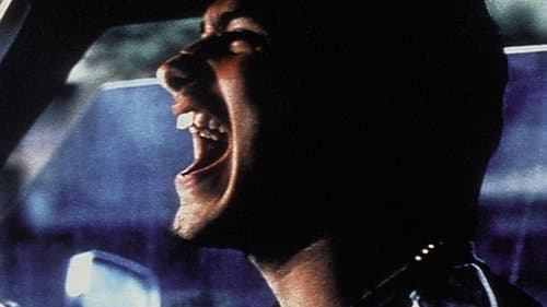 Amores perros Bild 3