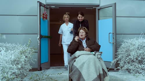 Weihnachten zu Hause Bild 3