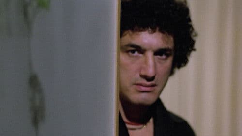 Der Schlitzer Bild 5