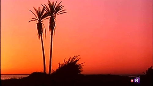 Orgasmo caliente Bild 1