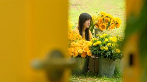 다크 옐로우 Bild 1