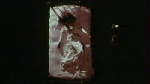 L'araignée d'eau Bild 1