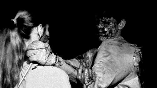 Within the Woods Bild 2