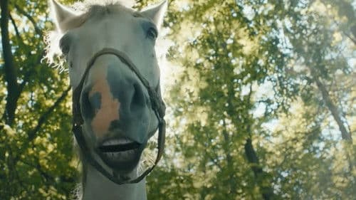 DZIDZIO: Павук Bild 2