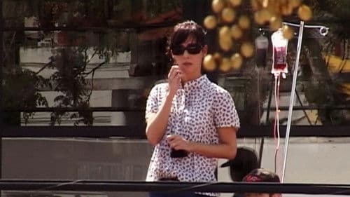 Teoría sobre las colonias Bild 2