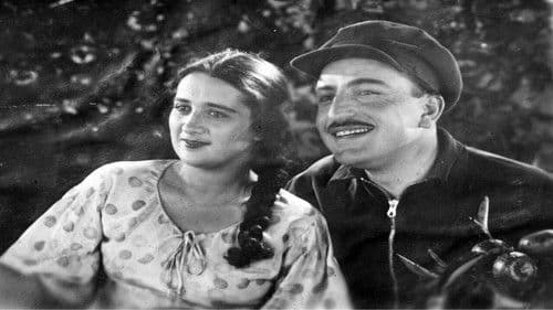 ნარინჯის ველი Bild 3