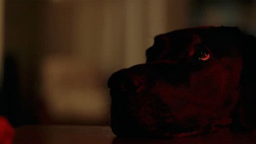 Coming Down Is The Hardest Thing Bild 8