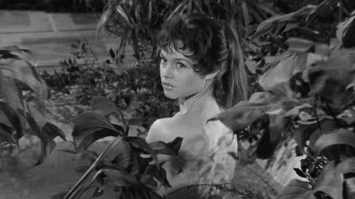 Reif auf jungen Blüten Bild 2