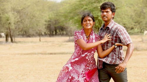 முந்திரிக்காடு Bild 6