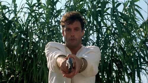 Heiße Nächte in St. Tropez Bild 2