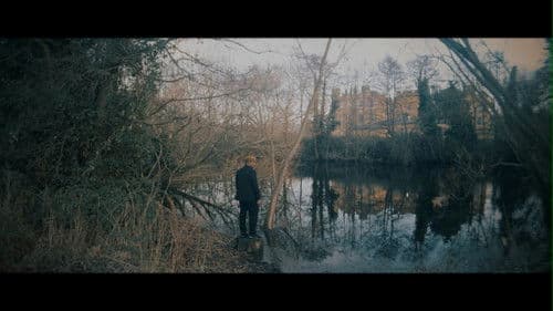 The Roots Of Its Own Kind Bild 1