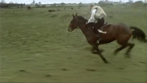 Caoineadh Airt Uí Laoire Bild 2