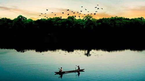 Amazônia Eterna Bild 1