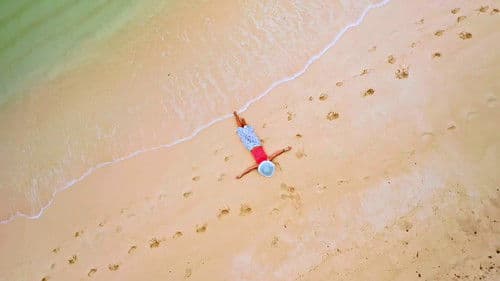 When Holidays Go Horribly Wrong Bild 1