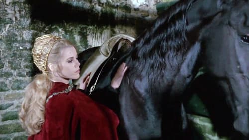 Außergewöhnliche Geschichten Bild 3