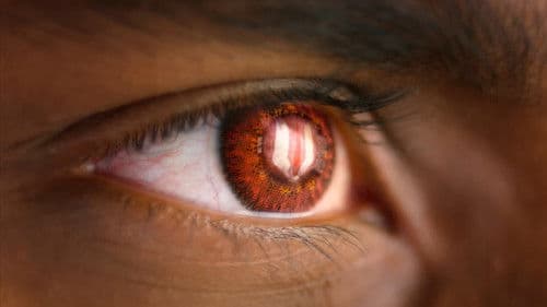 హను-మాన్ Bild 3