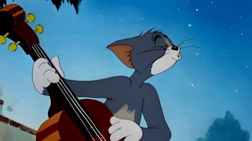 Tom als Troubadour Bild 4