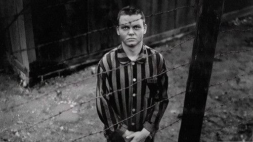 Sie nannten ihn Amigo Bild 1