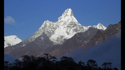 Reise nach Indien Bild 8