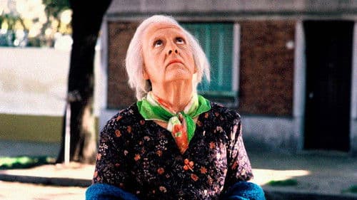 Esperando la carroza Bild 1