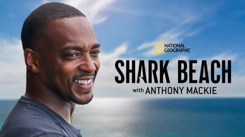 Der Strand der Haie mit Anthony Mackie: Golfküste Bild 4