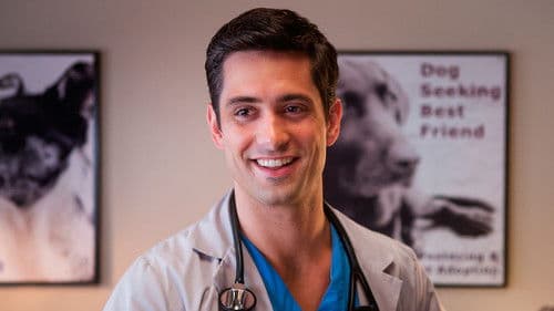 Hometown Hero Bild 3