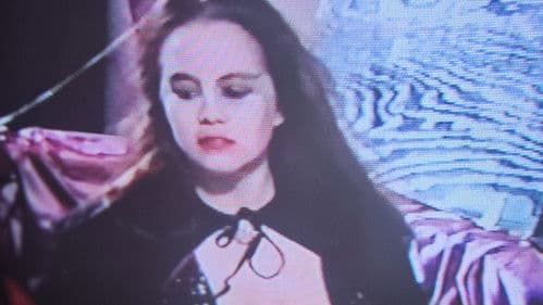 Vampire Tales Bild 1