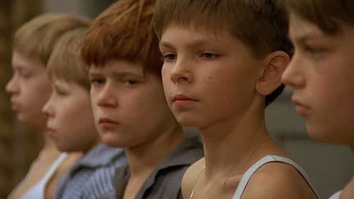 Abel, twój brat Bild 4