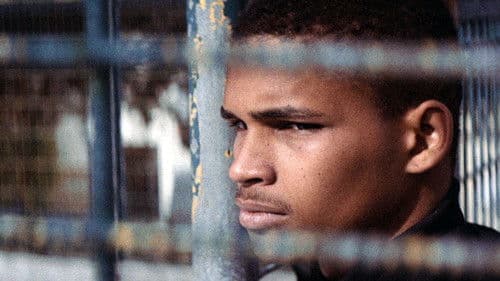 O Fim do Mundo Bild 2