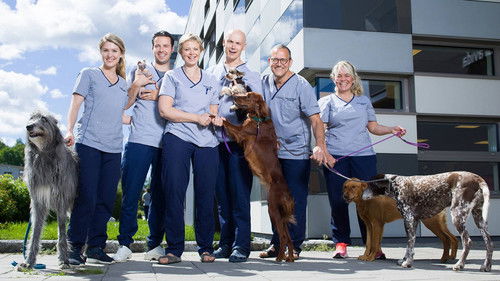 Veterinærene Bild 1