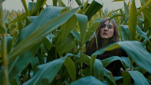 Falsely Accused Bild 1