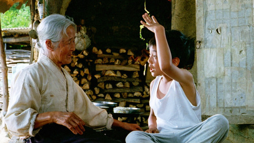 The Way Home - Wege nach Hause Bild 3