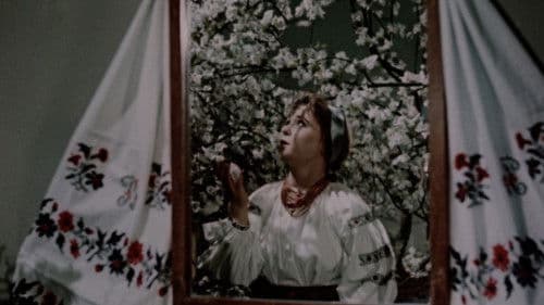 Українська рапсодія Bild 1