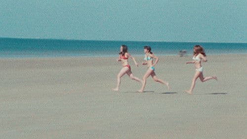 Du côté d'Orouët Bild 6