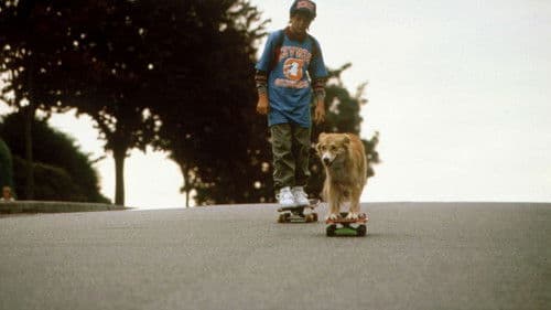 Bingo - Kuck mal wer da bellt Bild 2