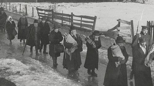 Die Stadt ohne Juden Bild 2